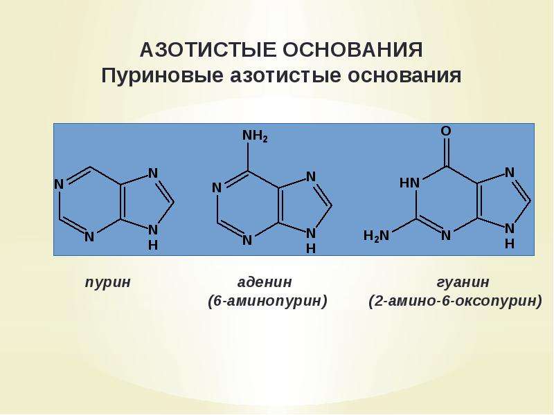 Нуклеиновые кислоты презентация 10 класс химия