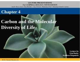 Carbon and the molecular diversity of life. (Chapter 4)