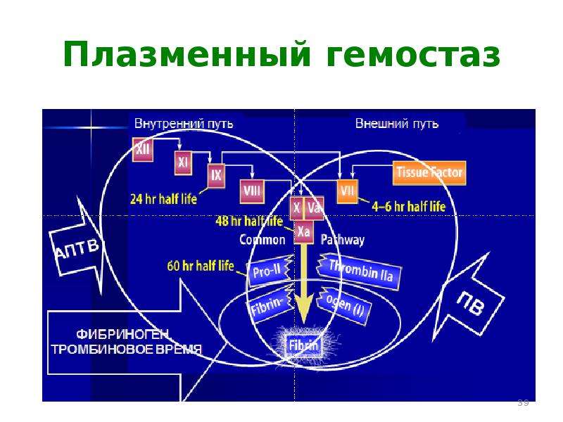 Плазменно коагуляционный гемостаз презентация