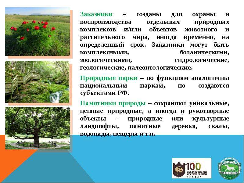 Отдельный природный объект. Создание заказников. Гидрологические заказники. Заказники могут быть. Геологические и гидрологические заказники.