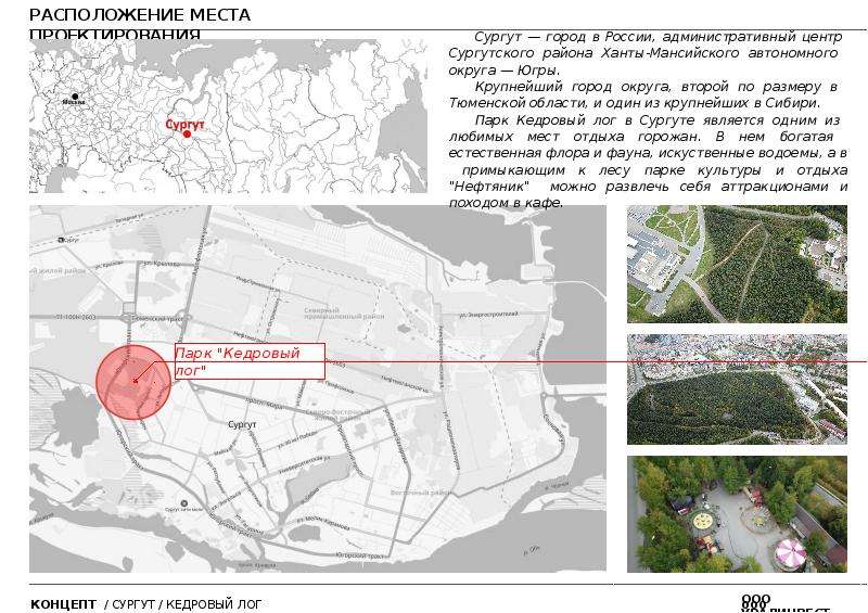 Фото парк кедровый лог