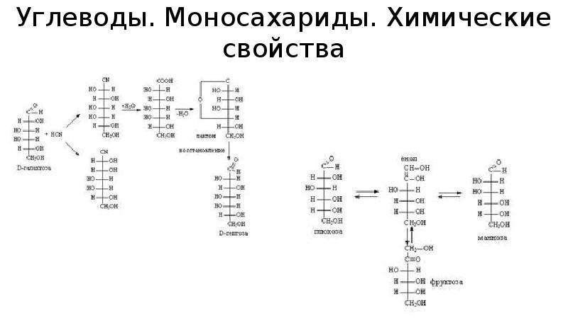 Химические свойства моносахаридов. Моносахариды с гидроксиламином. Какие реакции характерны для моносахаридов. Взаимодействие моносахаридов с гидроксиламином. Свойства моносахаридов химия.