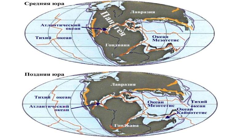 Мезозойская история развития Земли, слайд 13