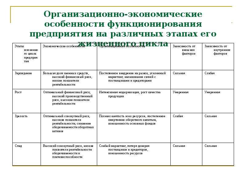 Экономическая идентификация. В чем особенность функционирования предприятия.