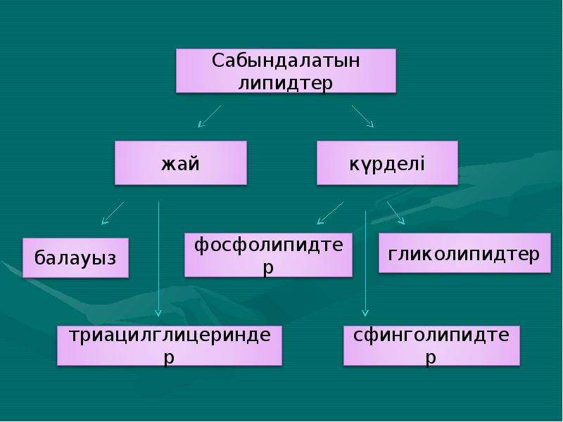 Липидтердің құрылымдық компоненттері презентация