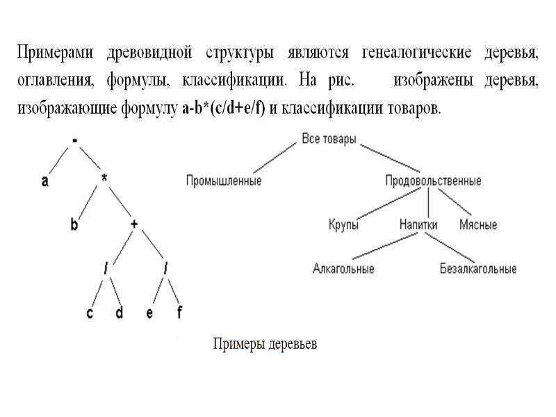 B деревья примеры. Бинарное дерево. Двоичное дерево пример. Структура бинарного дерева. Деревья лес бинарные деревья презентация.