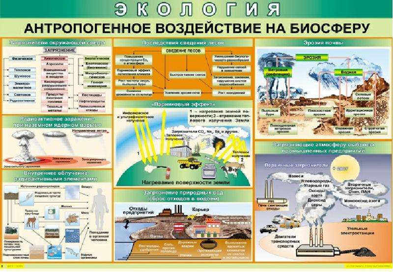 Последствия биосферы. Антропогенное воздействие на биосферу. Антропогенное влияние человека на биосферу. Антропогенное воздействие на биосф. Антропогенные факторы воздействия на биосферу.