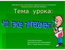 Что такое темперамент