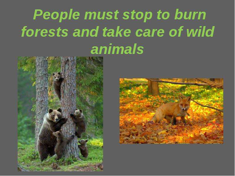People must stop to burn forests and take care of wild animals