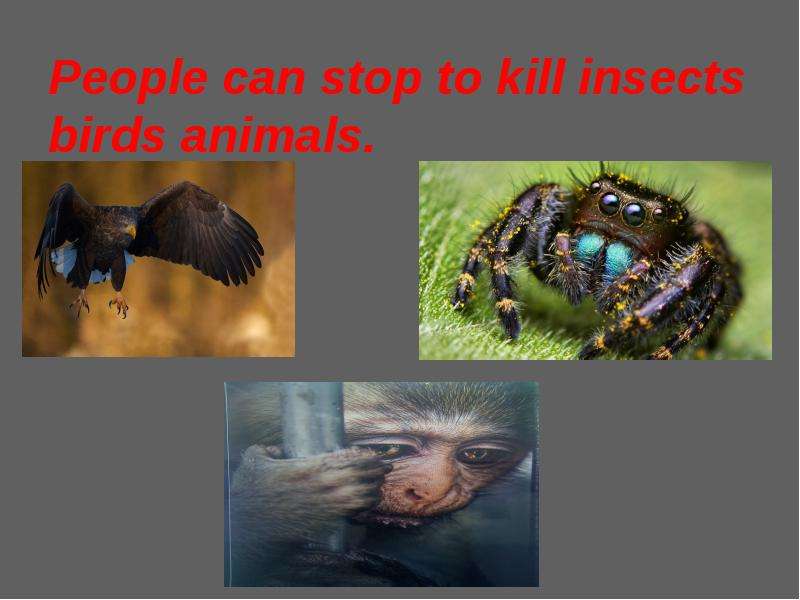 People can stop to kill insects birds animals.