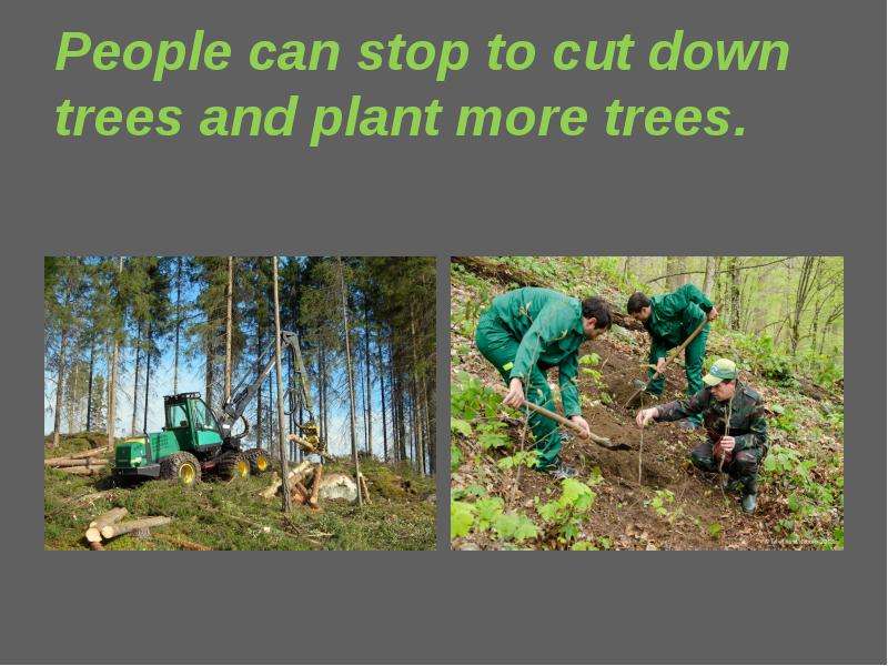 People can stop to cut down trees and plant more trees.