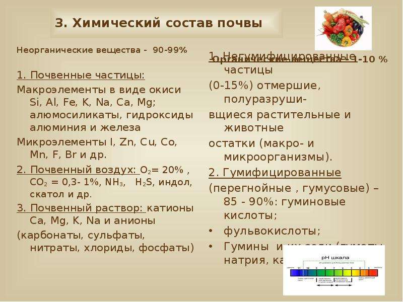 Химический состав почвы