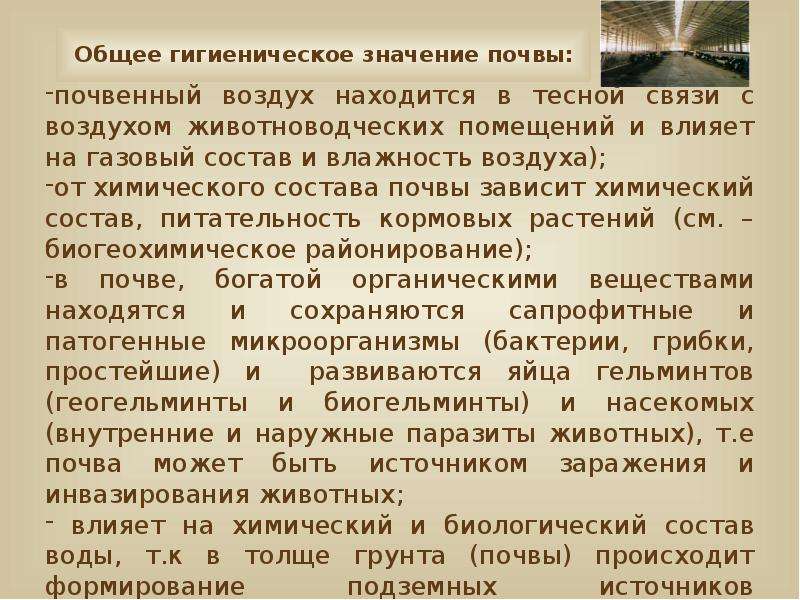 Значение почвы. Санитарное значение почвы. Гигиеническое значение почвы. Гигиеническое значение состава почвы. Гигиеническое значение состава и свойств почвы.