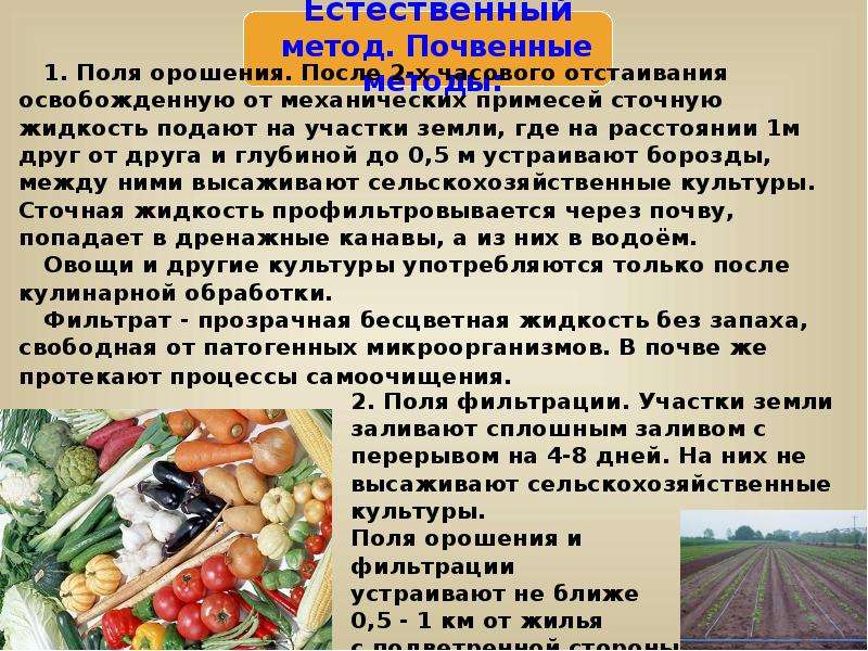 Клинический осмотр овцы образец