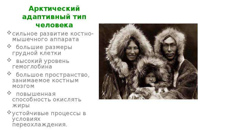 Сильное развитие. Арктический адаптивный Тип. Арктический адаптивный Тип человека. Арктический адаптивный Тип человека фото. Экваториальный адаптивный Тип человека презентация.