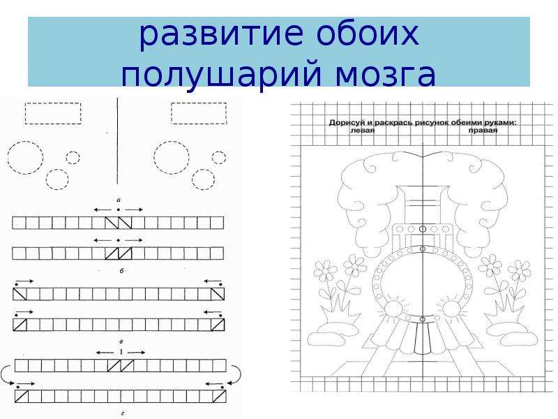 Картинки для развития двух полушарий