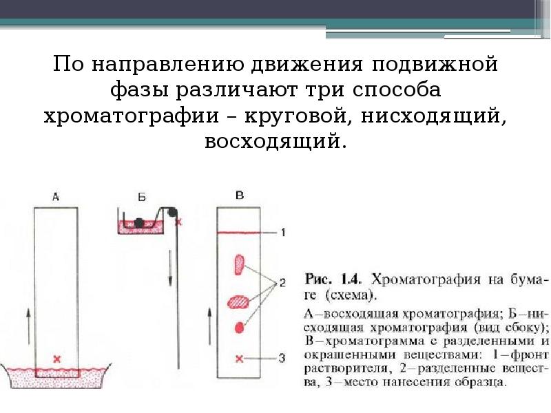 Тонкослойная хроматография презентация