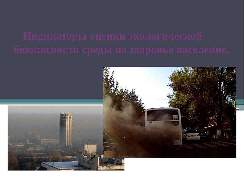 Реферат: Загрязнение городской атмосферы автотранспортом и экологический риск здоровью населения
