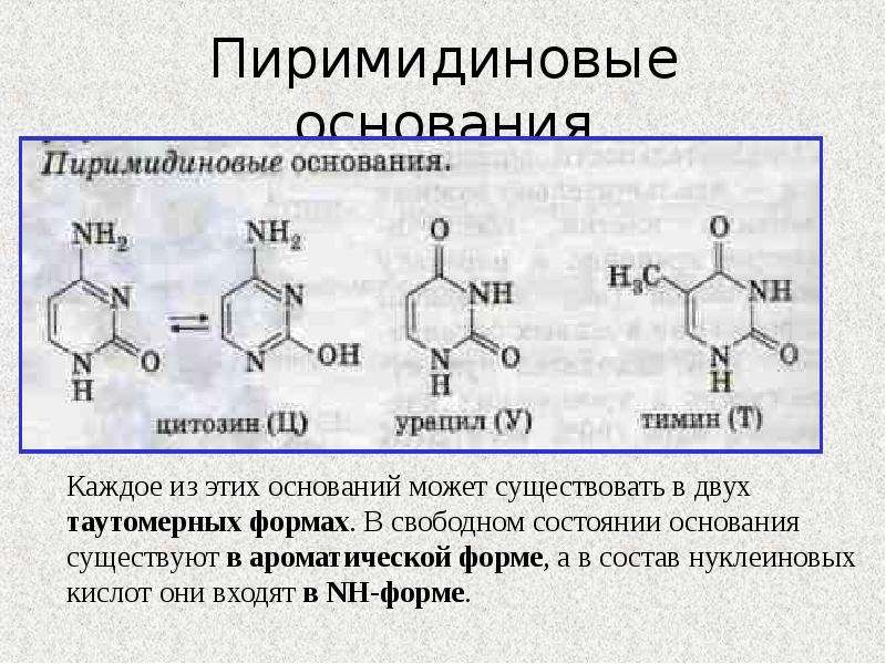 Презентация азотсодержащие соединения