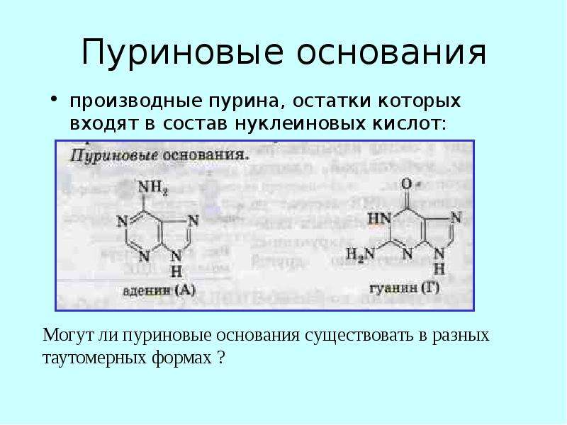 Азотсодержащие гетероциклические соединения нуклеиновые кислоты презентация 10 класс