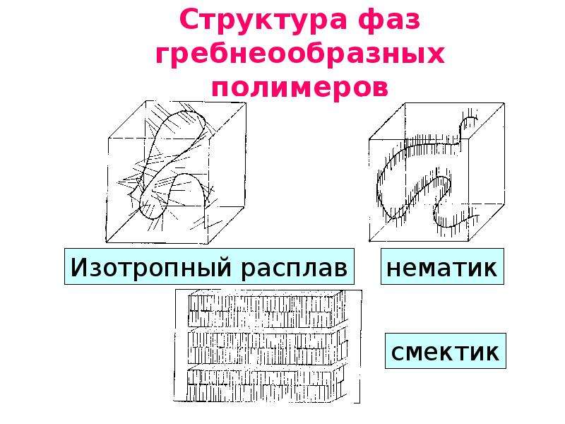 Структура фаз. Фазовый состав полимеров. Фазы строения. Стеклообразная фаза это. Стекловидное состояние полимеров.