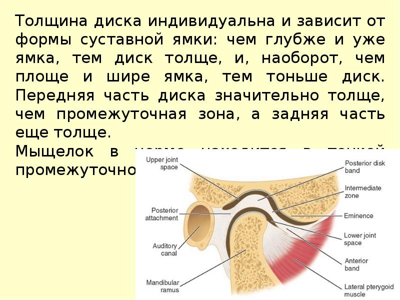 Особенности строения височно нижнечелюстного сустава презентация