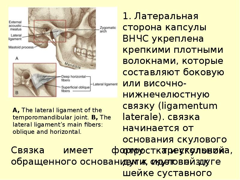 Височно нижнечелюстной сустав симптомы