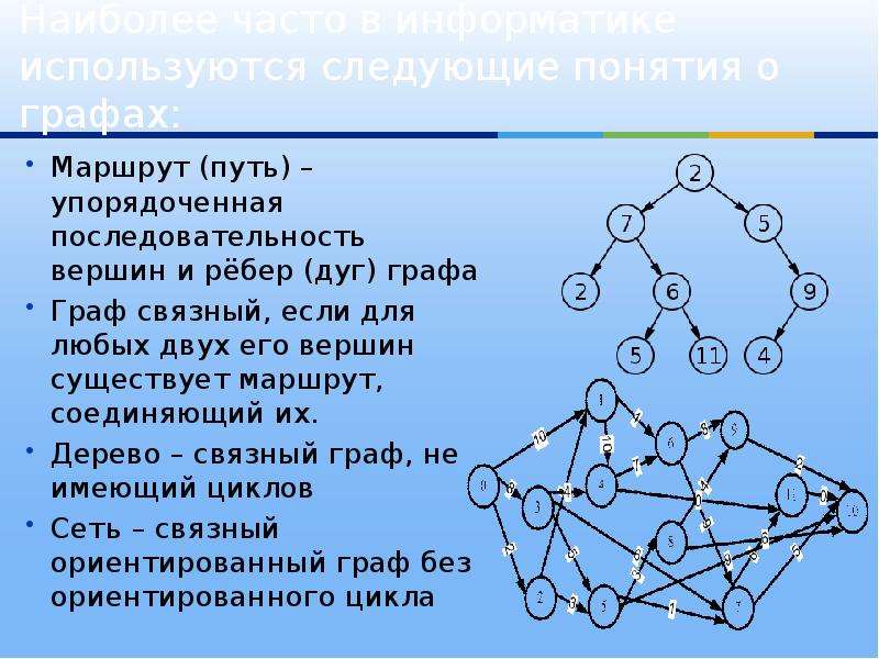 Порядок в графе. Графы Информатика 8 класс. Типы графов в информатике. Теория графов в математике.