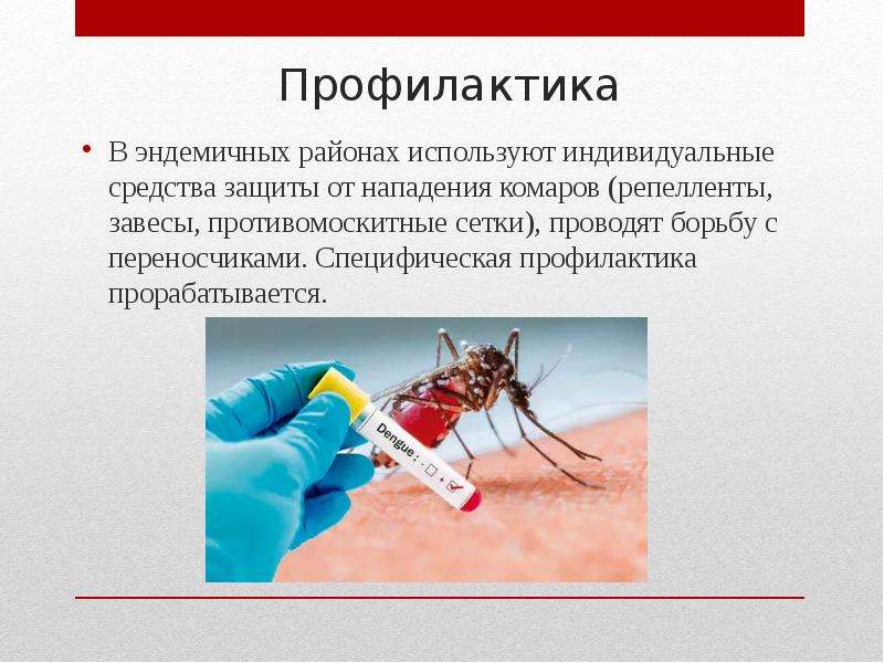 Переносчики опасных заболеваний. Малярийный комар опасен.