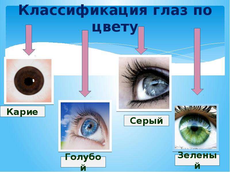 Классификация глаз по цвету