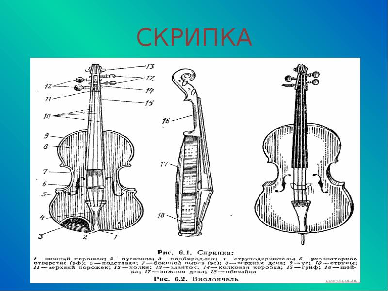 Музыкальные товары презентация