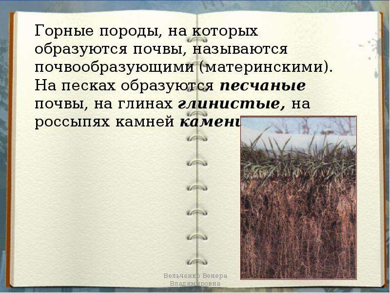 Почва особое природное тело презентация 5 класс