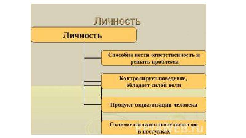 Картина мира в жизнедеятельности человека