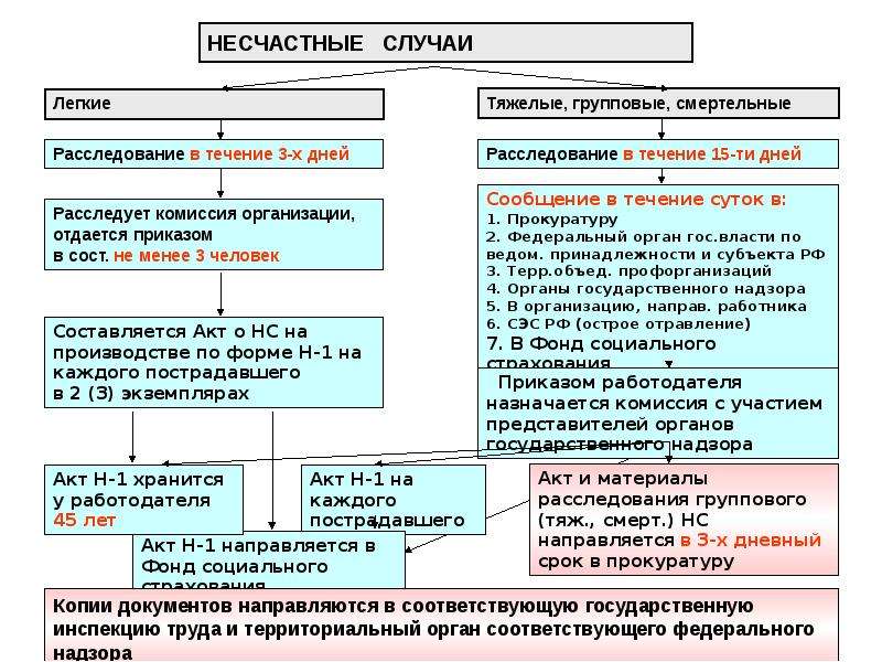 Какой срок расследования легких несчастных случаев. Порядок расследования лёгкого несчастного случая на производстве. Порядок расследования несчастных случаев на производстве РЖД. Этапы расследования несчастных случаев на производстве схема. Порядок расследования легких несчастных случаев на производстве.