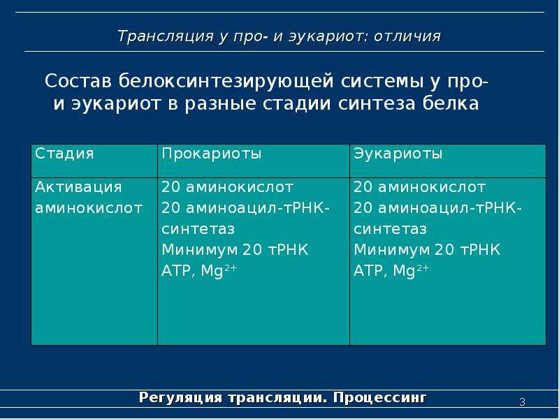 Особенности трансляции у эукариот