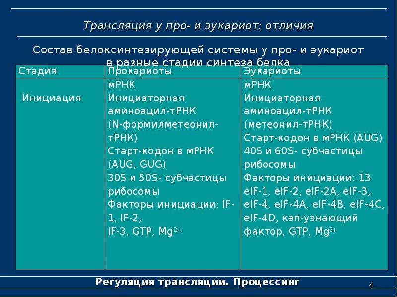 Особенности трансляции у эукариот. Особенности трансляции у прокариот и эукариот. Особенности трансляции у про- и эукариот. Отличия трансляции у про и эукариот. Трансляция у эукариот.