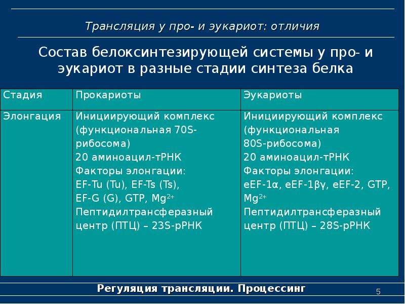 Особенности трансляции у эукариот. Различия трансляции у про и эукариот. Этапы трансляции у прокариот и эукариот. Различия трансляции у эукариот и прокариот. Особенности трансляции у прокариот и эукариот.