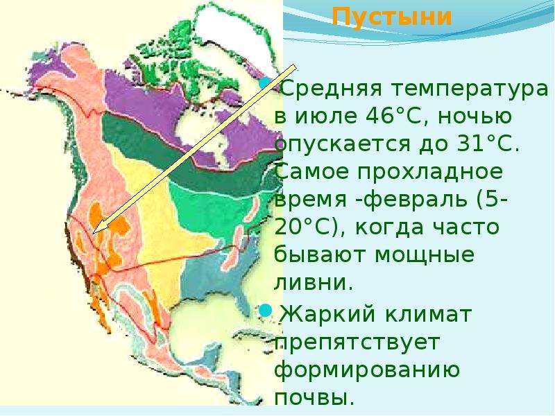 Природные зоны северной америки презентация. Зоны Северной Америки. Природные пояса Северной Америки. Природные зоны севера. Карта природных зон Северной Америки крупным планом.