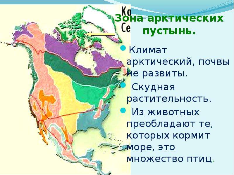 Природные зоны страны канада. Климат и природные зоны Северной Америки. Природные зоны Северной Америки атлас. Природные зоны Северной Америки презентация. Карта природных зон Северной Америки.