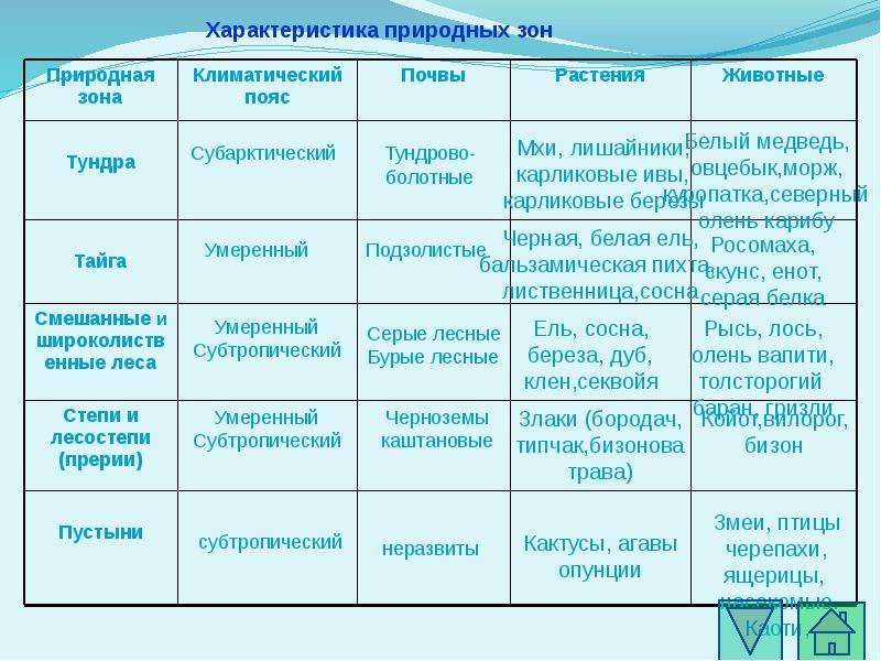 План описание природной зоны северной америки