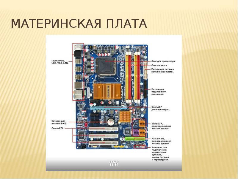 Материнская плата рисунок