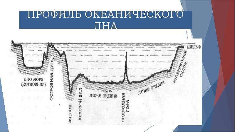 Рельеф дна средняя и наибольшая глубина. Подводная окраина материков мирового океана. Профиль океанического дна. Шельф дна океана. Метод изучения дна мирового океана.