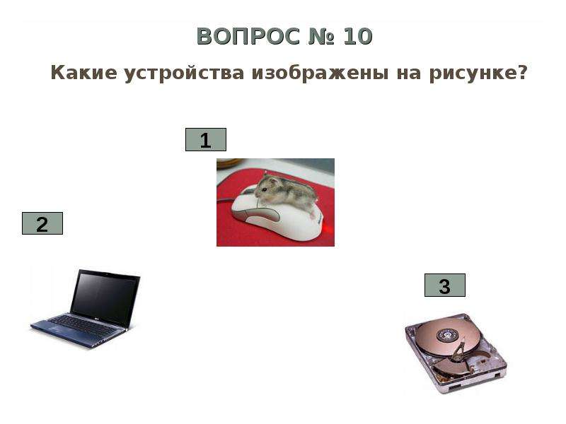 Количество устройств. Какое устройство ввода информации изображено на рисунке. Какое устройство изображено. Тест устройства ввода и вывода информации. Какое устройство изображено на картинке.