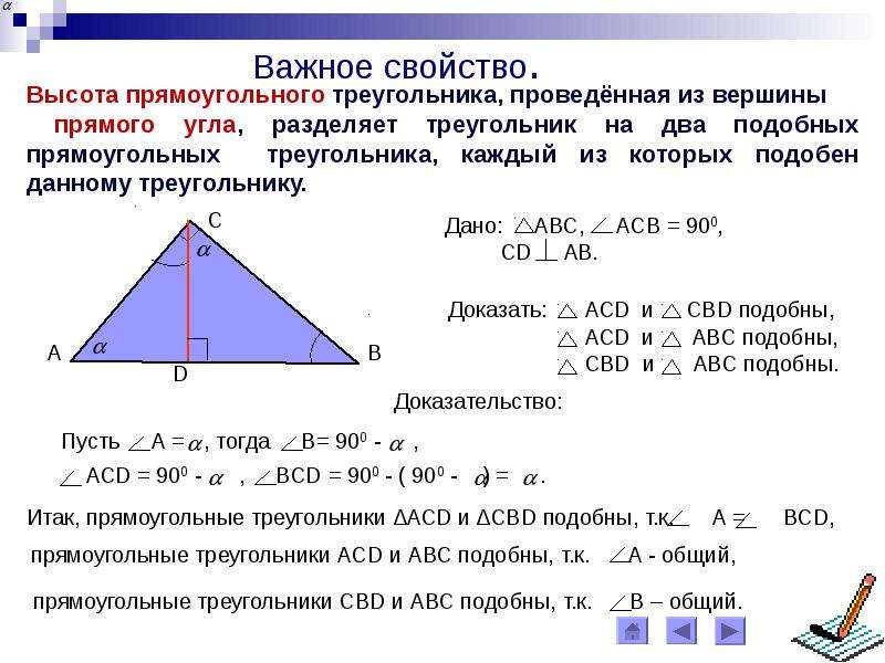 Доказательство свойства высоты