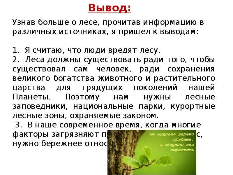 Сообщение о сообществе леса. Рассказ о сообществе лес. Природное сообщество лес. Сообщение о сообществе лес. Доклад на тему природное сообщество лес.