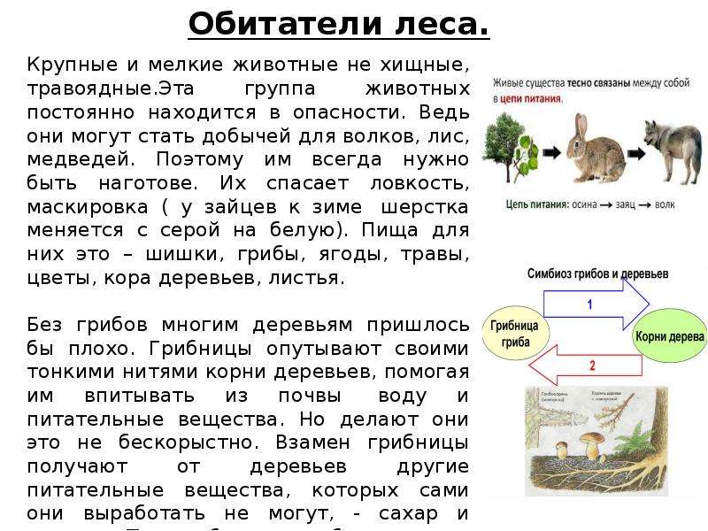 План изучения природного сообщества 4 класс