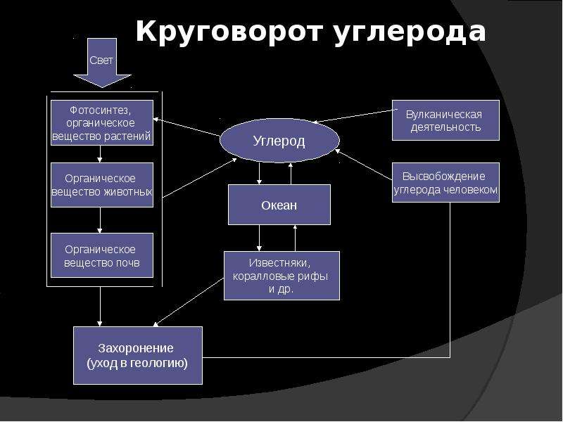 Схема круговорота углерода в природе. Схема круговорота веществ углерода. Круговорот углерода в биосфере схема. Круговорот углерода в биосфере схема 11 класс. Круговорот углерода в природе схема кратко.