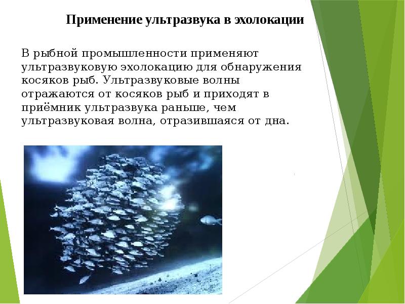 Инфразвук и ультразвук презентация