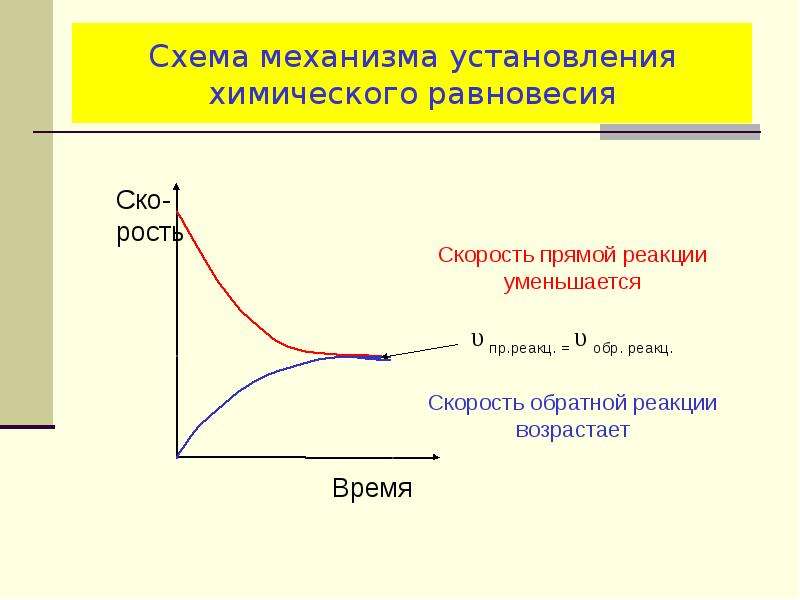 Механизм установления. Установление равновесия в химии это. Схема по химическому равновесию. Схема протекания обратной реакции. Химическое равновесие схема.