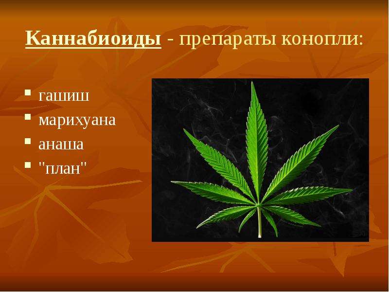 План не наркотик tor browser ru download hydra2web